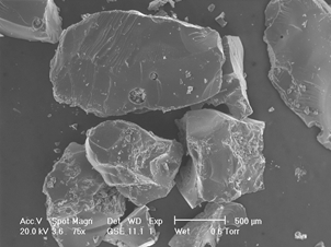 ESEM picture of dry SAP particles produced by bulk polymerization